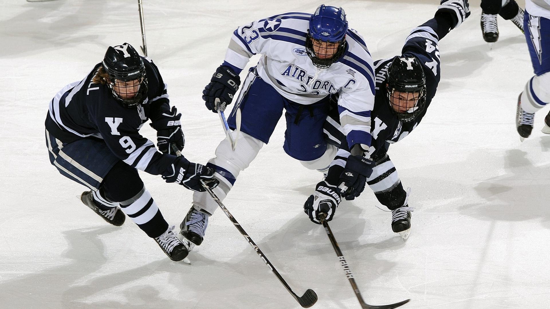 全球马拉松赛事热度持续上升，多地赛事规模扩大，全球马拉松世界纪录